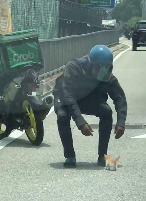 Un piccolo gattino tremava immobile in mezzo alla strada, tra auto e caldo. Un motociclista si è fermato e lo ha portato al sicuro.