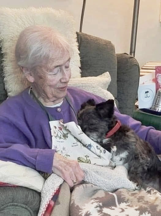 Dopo un lutto doloroso, una donna disabile ha accolto un cane anziano rimasto senza proprietario: ora si fanno compagnia ogni giorno.