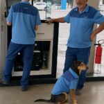 Cane abbandonato vicino a una stazione di servizio diventa il simbolo del centro che lo ha salvato