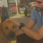 Stazione di servizio adotta cani randagi: diventano i nuovi “dipendenti”