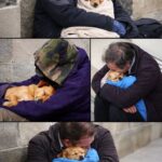 Gli portano via il cane durante la notte: la storia del clochard che ha ritrovato il suo unico compagno