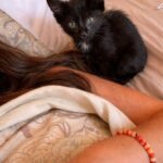 Il gattino randagio trovato sotto la finestra all’alba ora dorme accanto a chi lo ha salvato