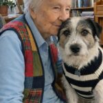A novant’anni entra in canile e adotta Oliver, il cane anziano lasciato perché troppo vecchio