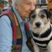 Oliver, cane di quattordici anni lasciato in canile, ha trovato una nuova casa grazie a una persona di novant’anni.