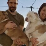 Adottano un pitbull, poi tornano al rifugio per prendere anche il fratellino cieco