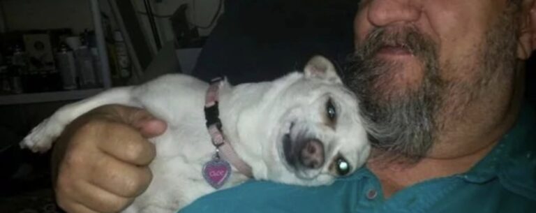 Dopo molte esitazioni, un uomo ha accettato di incontrare Cloe: da prova temporanea è diventata parte della famiglia.