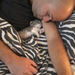 Gattino trovato per strada, il marito lo salva e lui sceglie di non lasciarlo più