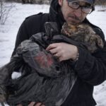 Cane trovato sotto la neve: un uomo scava a mani nude e lo salva dal gelo