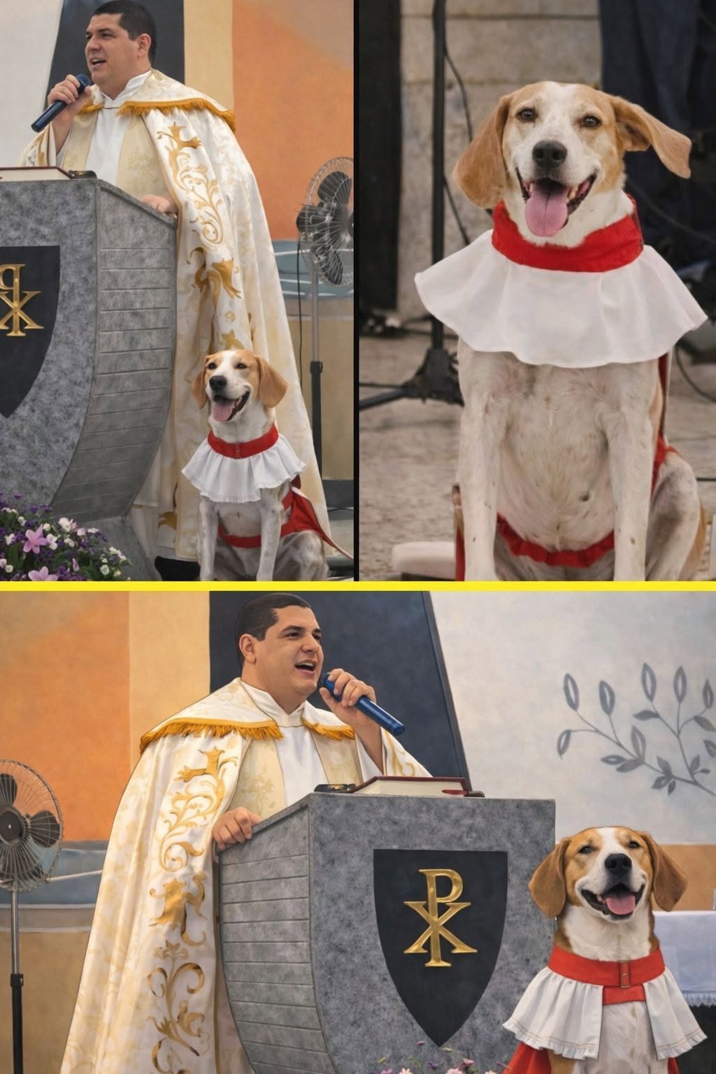 Un sacerdote in Brasile ha accolto un cane randagio, poi diventato una presenza abituale tra i banchi della parrocchia.