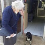 Donna di 80 anni chiama il rifugio: “Vorrei adottare un cane della mia età”
