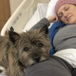 Burrasca, cane di pet therapy, resta accanto alla padrona durante la chemioterapia