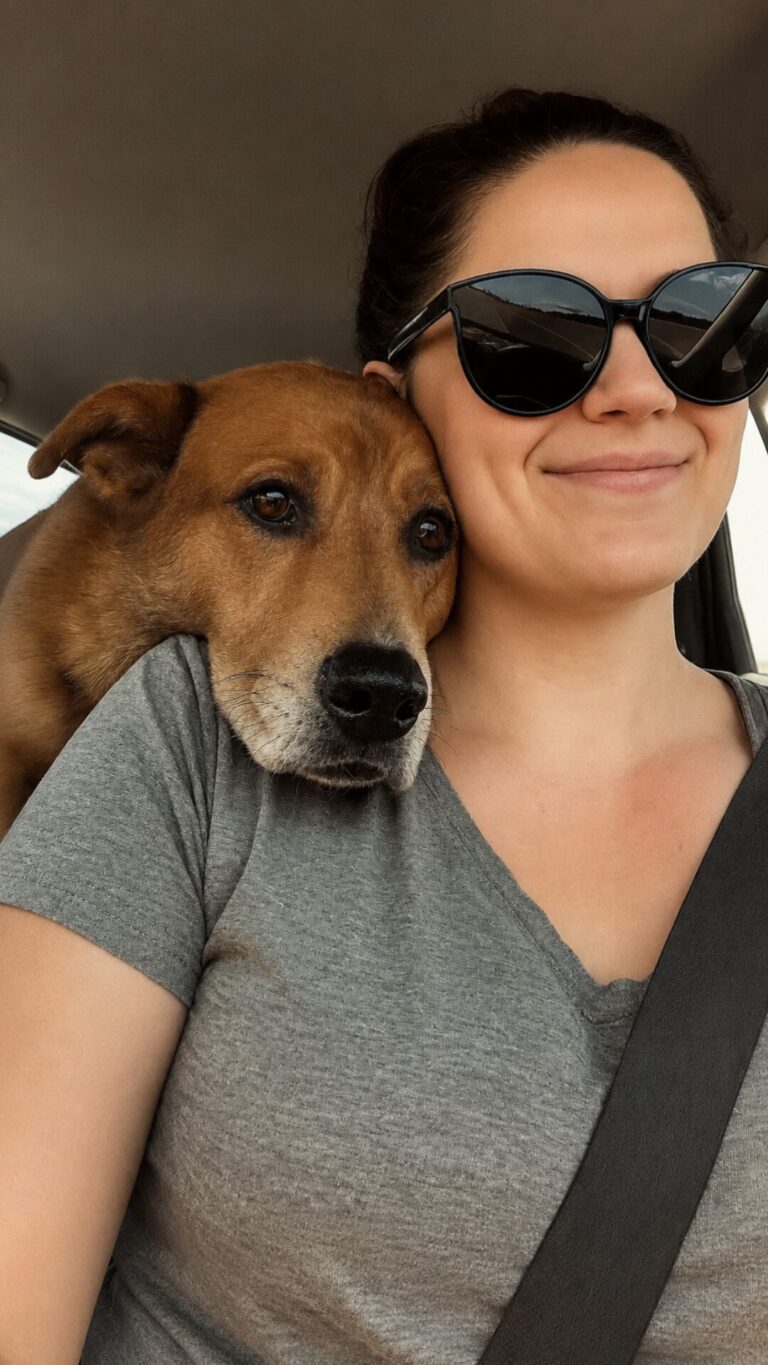 Dopo l’adozione, un cane lascia il passato alle spalle e affronta il primo viaggio verso la famiglia che lo ha scelto.