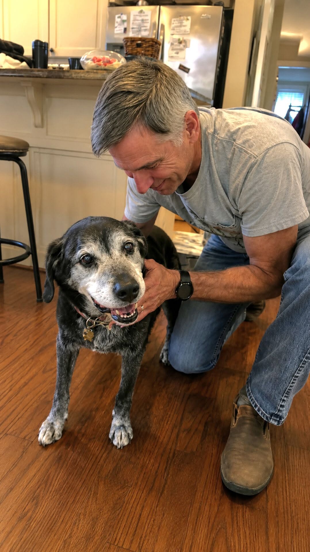 Un cane anziano arrivato dal rifugio ha cambiato comportamento dopo l’adozione, tornando a giocare e a seguire la sua nuova famiglia.