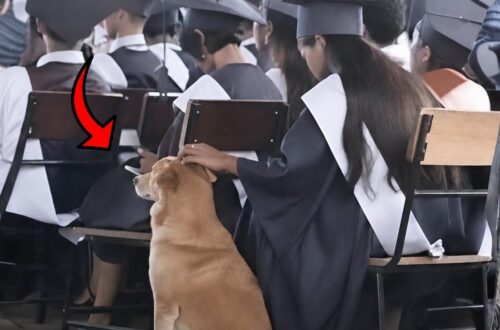 Nelle Filippine, Browny ha accompagnato Jamaica Cabral durante la laurea, restando al suo fianco per tutta la cerimonia.
