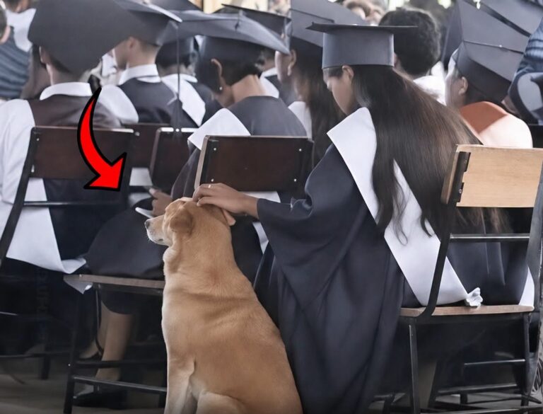 Nelle Filippine, Browny ha accompagnato Jamaica Cabral durante la laurea, restando al suo fianco per tutta la cerimonia.
