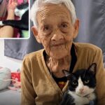 A 92 anni donna affetta da Alzheimer dimentica i nomi dei figli, ma riconosce ancora il suo gatto