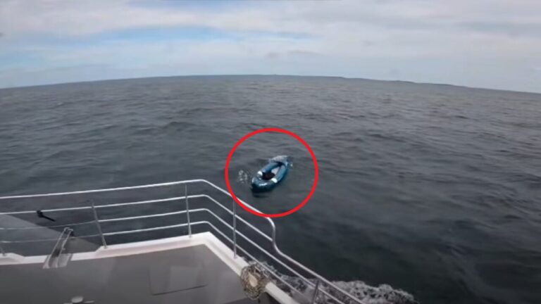 Bruce, pastore tedesco finito alla deriva su un kayak, è stato salvato al largo di Bamburgh dopo una lunga ricerca in mare.