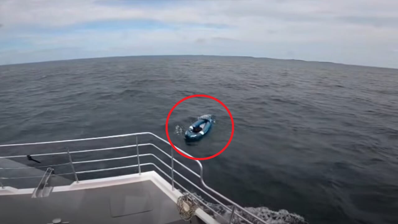 Bruce, pastore tedesco finito alla deriva su un kayak, è stato salvato al largo di Bamburgh dopo una lunga ricerca in mare.