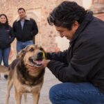 Cane randagio entra nella foto di famiglia al Santuario, poi Erik decide di adottarlo