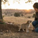 Sepellisce il cane anziano, poi trova un cucciolo solo vicino alla tomba e inizia una nuova storia