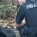 Era fuggita per settimane tra traffico e cassonetti. Una donna si è fermata senza inseguirla e le ha restituito fiducia.