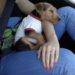 Un Airedale Terrier adottato dopo il rifugio trova fiducia durante il tragitto con la nuova famiglia.