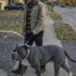 Dopo il funerale del padre, il cane Brutus mostra al figlio ciò che non sapeva