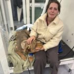 Odin non ce l’ha fatta: l’ultimo saluto al cane che ha lottato fino alla fine