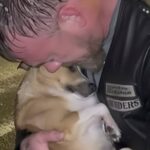 Nella tempesta salva una cagnolina assiderata e le resta accanto fino ai soccorsi