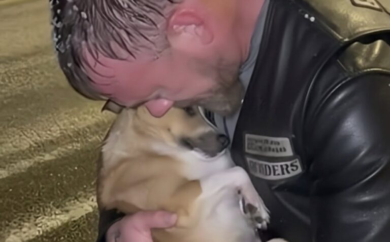 Un motociclista si ferma durante una bufera, trova una cagnolina quasi priva di sensi e la tiene al caldo fino all’arrivo dei soccorsi.