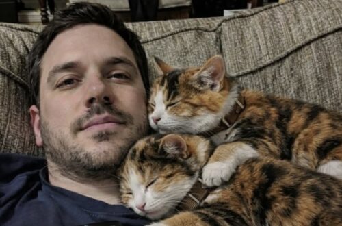 Dopo la fine di una relazione, un uomo accoglie temporaneamente due gattine sorelle e sceglie di non separarle più.