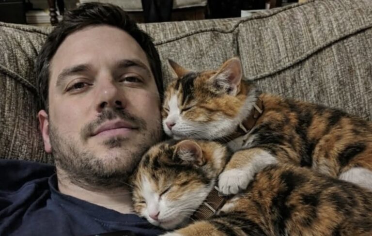 Dopo la fine di una relazione, un uomo accoglie temporaneamente due gattine sorelle e sceglie di non separarle più.