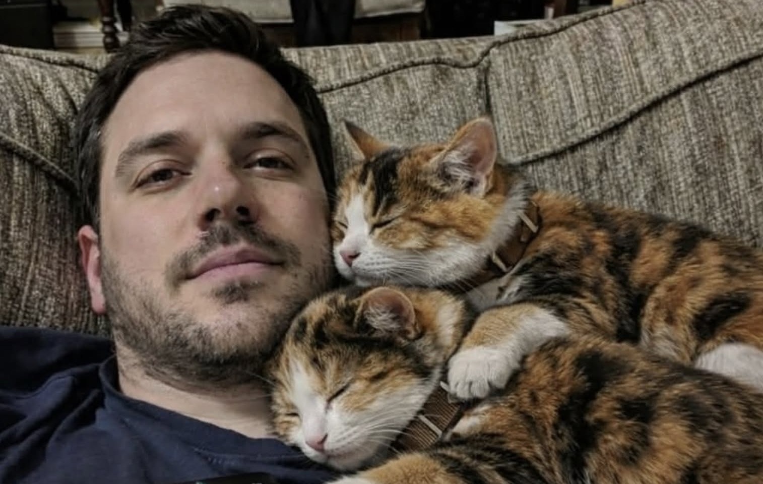 Dopo la fine di una relazione, un uomo accoglie temporaneamente due gattine sorelle e sceglie di non separarle più.