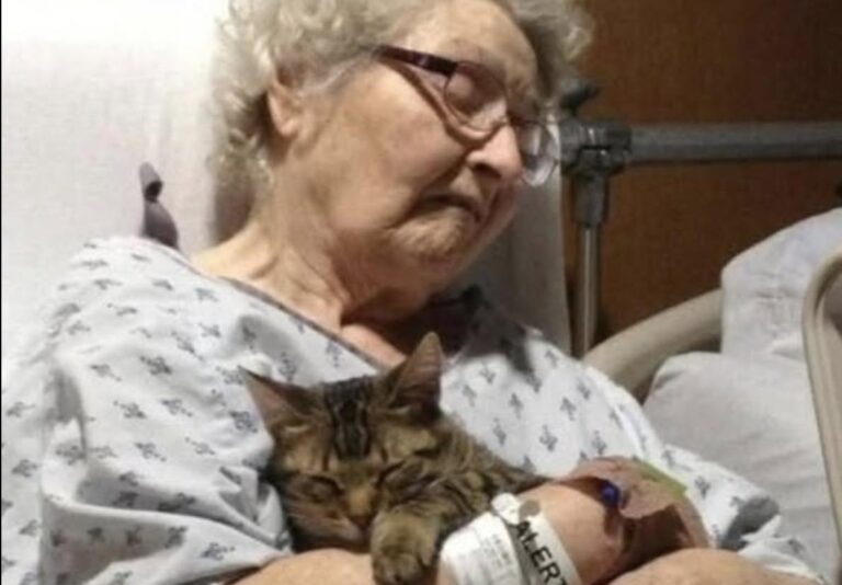 Dopo la frattura dell’anca di Eleanor, il gatto ha potuto raggiungerla in reparto grazie a un permesso speciale.