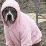 Luna torna libera dopo le restrizioni e trasforma il giardino nel suo regno