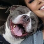 Cane anziano salvato poco prima della soppressione sorride durante il viaggio verso casa
