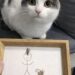 A undici anni comunica senza parole: il regalo alla madre racconta il loro legame Un bambino non verbale ha realizzato un ritratto con capelli e pelo del gatto, consegnandolo alla madre dentro una cornice. Per undici anni non ha mai pronunciato una parola. Ieri, però, ha consegnato alla madre una cornice di legno con un disegno costruito utilizzando piccoli frammenti della loro vita quotidiana. Dentro aveva raffigurato tre presenze: se stesso, la donna che lo cresce e Mochi, il gatto rosso arrivato in famiglia tre anni prima. Sulla figura della madre aveva incollato capelli veri, raccolti dalla spazzola. Accanto aveva disegnato il gatto, completandolo con un ciuffo del suo pelo. In basso compariva una data scritta con attenzione: 18 gennaio 2026. La donna ha osservato il lavoro, poi si è chiusa in bagno per piangere senza che il figlio la sentisse. Quel ritratto rappresentava una dichiarazione che il bambino non avrebbe potuto esprimere verbalmente, ma che aveva costruito con precisione attraverso immagini, materiali e gesti. Il bambino non verbale e una diversa forma di comunicazione Fin dalla nascita, il ragazzo comunica senza utilizzare il linguaggio parlato. Nel corso degli anni la madre ha incontrato medici, specialisti e insegnanti che l’hanno invitata a ridimensionare le proprie aspettative. “Accetti i suoi limiti, riduca le aspettative, sia realista.” La donna racconta di aver smesso di considerare quelle indicazioni come l’unica possibile lettura delle capacità del figlio quando lui aveva sei anni. In quel periodo costruì un’intera città di cartone, completa di porte e finestre funzionanti. Per la madre, quel progetto dimostrava che il bambino non era privo di strumenti per esprimersi. Utilizzava semplicemente modalità diverse da quelle attese dagli adulti. “Mio figlio sa comunicare benissimo. È il mondo che non ha ancora imparato la sua lingua.” Disegni, costruzioni, oggetti e scelte quotidiane sono diventati nel tempo il suo modo di mostrare desideri, emozioni e legami. L’arrivo di Mochi in un periodo difficile Tre anni fa il bambino attraversava una fase particolarmente delicata. Aveva smesso di disegnare e di giocare, mangiava poco e mostrava sempre meno interesse per le attività che prima lo coinvolgevano. La madre, preoccupata, si sentiva incapace di trovare una strada per raggiungerlo. Il cambiamento iniziò durante una visita a un rifugio per animali. Dietro una parete di vetro c’era Mochi, un piccolo gatto rosso molto magro. Il bambino si avvicinò, appoggiò entrambe le mani sul vetro e rimase in quella posizione per quaranta minuti. Non disse nulla e non indicò il gatto. Non serviva. “Quello, nel suo modo, era un sì gridato con tutta l’anima.” La famiglia decise di adottare Mochi. Da quel momento il gatto cominciò a dormire sul letto del bambino e a seguirlo durante la giornata. Poco alla volta, il ragazzo riprese anche a disegnare. All’inizio realizzava figure semplici, poi tornò a costruire immagini più articolate. Per la madre, quella ripresa aveva un valore maggiore di qualsiasi valutazione formale. La cornice costruita con frammenti della famiglia Il regalo consegnato ieri rappresenta uno dei lavori più personali realizzati dal bambino. Non si è limitato a disegnare le figure, ma ha inserito elementi fisici appartenenti alle persone e all’animale raffigurati. I capelli della madre erano stati presi dalla spazzola. Il pelo rosso proveniva da Mochi. La data, scritta lentamente e con particolare cura, fissava il momento in cui quell’opera era stata completata. Era un ritratto di famiglia costruito con parti reali della famiglia. La madre ha compreso immediatamente il significato del gesto. “Non può dirmi ti amo con le parole.” “Ma quella cornice lo ha urlato più forte di qualsiasi voce.” Il bambino non aveva bisogno di pronunciare una frase per rendere riconoscibile ciò che provava. Aveva scelto un oggetto, raccolto i materiali, realizzato il disegno e affidato alla madre il risultato finale. Per la donna, quella cornice non è soltanto un lavoro creativo. È la conferma che la comunicazione può esistere anche fuori dal linguaggio parlato e che un legame può essere espresso attraverso dettagli che richiedono tempo, attenzione e osservazione. “A volte l’amore non si sente. Si vede. E quando riesci a vederlo, ti cambia per sempre.”