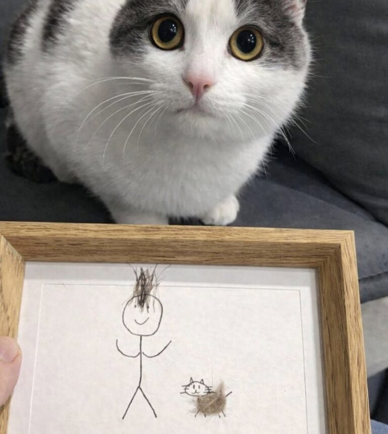 A undici anni comunica senza parole: il regalo alla madre racconta il loro legame Un bambino non verbale ha realizzato un ritratto con capelli e pelo del gatto, consegnandolo alla madre dentro una cornice. Per undici anni non ha mai pronunciato una parola. Ieri, però, ha consegnato alla madre una cornice di legno con un disegno costruito utilizzando piccoli frammenti della loro vita quotidiana. Dentro aveva raffigurato tre presenze: se stesso, la donna che lo cresce e Mochi, il gatto rosso arrivato in famiglia tre anni prima. Sulla figura della madre aveva incollato capelli veri, raccolti dalla spazzola. Accanto aveva disegnato il gatto, completandolo con un ciuffo del suo pelo. In basso compariva una data scritta con attenzione: 18 gennaio 2026. La donna ha osservato il lavoro, poi si è chiusa in bagno per piangere senza che il figlio la sentisse. Quel ritratto rappresentava una dichiarazione che il bambino non avrebbe potuto esprimere verbalmente, ma che aveva costruito con precisione attraverso immagini, materiali e gesti. Il bambino non verbale e una diversa forma di comunicazione Fin dalla nascita, il ragazzo comunica senza utilizzare il linguaggio parlato. Nel corso degli anni la madre ha incontrato medici, specialisti e insegnanti che l’hanno invitata a ridimensionare le proprie aspettative. “Accetti i suoi limiti, riduca le aspettative, sia realista.” La donna racconta di aver smesso di considerare quelle indicazioni come l’unica possibile lettura delle capacità del figlio quando lui aveva sei anni. In quel periodo costruì un’intera città di cartone, completa di porte e finestre funzionanti. Per la madre, quel progetto dimostrava che il bambino non era privo di strumenti per esprimersi. Utilizzava semplicemente modalità diverse da quelle attese dagli adulti. “Mio figlio sa comunicare benissimo. È il mondo che non ha ancora imparato la sua lingua.” Disegni, costruzioni, oggetti e scelte quotidiane sono diventati nel tempo il suo modo di mostrare desideri, emozioni e legami. L’arrivo di Mochi in un periodo difficile Tre anni fa il bambino attraversava una fase particolarmente delicata. Aveva smesso di disegnare e di giocare, mangiava poco e mostrava sempre meno interesse per le attività che prima lo coinvolgevano. La madre, preoccupata, si sentiva incapace di trovare una strada per raggiungerlo. Il cambiamento iniziò durante una visita a un rifugio per animali. Dietro una parete di vetro c’era Mochi, un piccolo gatto rosso molto magro. Il bambino si avvicinò, appoggiò entrambe le mani sul vetro e rimase in quella posizione per quaranta minuti. Non disse nulla e non indicò il gatto. Non serviva. “Quello, nel suo modo, era un sì gridato con tutta l’anima.” La famiglia decise di adottare Mochi. Da quel momento il gatto cominciò a dormire sul letto del bambino e a seguirlo durante la giornata. Poco alla volta, il ragazzo riprese anche a disegnare. All’inizio realizzava figure semplici, poi tornò a costruire immagini più articolate. Per la madre, quella ripresa aveva un valore maggiore di qualsiasi valutazione formale. La cornice costruita con frammenti della famiglia Il regalo consegnato ieri rappresenta uno dei lavori più personali realizzati dal bambino. Non si è limitato a disegnare le figure, ma ha inserito elementi fisici appartenenti alle persone e all’animale raffigurati. I capelli della madre erano stati presi dalla spazzola. Il pelo rosso proveniva da Mochi. La data, scritta lentamente e con particolare cura, fissava il momento in cui quell’opera era stata completata. Era un ritratto di famiglia costruito con parti reali della famiglia. La madre ha compreso immediatamente il significato del gesto. “Non può dirmi ti amo con le parole.” “Ma quella cornice lo ha urlato più forte di qualsiasi voce.” Il bambino non aveva bisogno di pronunciare una frase per rendere riconoscibile ciò che provava. Aveva scelto un oggetto, raccolto i materiali, realizzato il disegno e affidato alla madre il risultato finale. Per la donna, quella cornice non è soltanto un lavoro creativo. È la conferma che la comunicazione può esistere anche fuori dal linguaggio parlato e che un legame può essere espresso attraverso dettagli che richiedono tempo, attenzione e osservazione. “A volte l’amore non si sente. Si vede. E quando riesci a vederlo, ti cambia per sempre.”