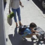 Pitbull crolla per il caldo, un bambino si ferma e chiama aiuto