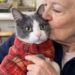 A 83 anni adotta un gatto che si stava lasciando andare: nasce un legame inatteso Martine ha accolto un gatto anziano in condizioni delicate. In pochi giorni, l’animale ha cambiato il ritmo della sua vita. A 83 anni, Martine pensava che il tempo davanti a lei sarebbe trascorso senza grandi cambiamenti. Le giornate erano ordinate, silenziose e prevedibili. Poi, sul sito di un rifugio, ha notato la fotografia di un gatto anziano avvolto in un piccolo maglione. L’animale aveva uno sguardo stanco e restava da tempo in attesa di una famiglia. Secondo gli operatori, mangiava poco, reagiva sempre meno e sembrava aver perso interesse per ciò che accadeva intorno a lui. Quando Martine telefonò per chiedere informazioni, la risposta fu diretta: « Si sta spegnendo. Si sta lasciando andare. » Lei non esitò. « Non spostatelo. Sto arrivando. » Martine incontra il gatto del rifugio L’incontro avvenne poco dopo. Quando il gatto venne sistemato tra le sue braccia, non cercò di allontanarsi e non mostrò resistenza. Si rannicchiò contro di lei, lasciandosi accarezzare. Martine lo strinse con delicatezza e gli posò un bacio sulla testa. Un gesto semplice, con cui volle fargli capire che da quel momento non sarebbe più rimasto solo. Il trasferimento nella nuova casa segnò l’inizio di un cambiamento graduale. L’animale trovò un ambiente tranquillo, una stanza calda e una presenza costante. Nei primi giorni accettò le cure senza difficoltà, trascorrendo molto tempo vicino alla sua nuova proprietaria. Non servivano giochi o grandi spazi. Gli bastavano una coperta, una voce familiare e qualcuno disposto a rispettare i suoi tempi. Il ritorno alla fiducia Con il passare dei giorni, il gatto cominciò a mostrare maggiore attenzione per ciò che lo circondava. Prima seguiva Martine soltanto con lo sguardo. In seguito iniziò ad accompagnarla da una stanza all’altra, mantenendosi sempre a poca distanza. Sembrava voler controllare che non andasse via. La presenza dell’animale modificò anche le abitudini della donna. Le giornate non erano più scandite soltanto dai pasti, dalle faccende domestiche e dal silenzio della casa. C’era qualcuno da accudire, osservare e aspettare. Il gatto, inizialmente descritto come rassegnato, ritrovò progressivamente interesse per il cibo, per le carezze e per i piccoli movimenti quotidiani della casa. Un’adozione che ha cambiato entrambi Chi conosce la vicenda tende a raccontarla come il salvataggio di un animale anziano. Martine, però, la considera in modo diverso. “La gente dice spesso che sono stata io a salvare un vecchio gatto.” “Ma la verità è che è stato lui a salvare me.” L’arrivo del gatto ha riempito uno spazio rimasto vuoto nella vita della donna. La sua presenza ha riportato attenzione, compagnia e una nuova routine nelle giornate. “Ha reso le mie giornate più dolci. E mi ha restituito un motivo per sorridere — semplicemente così, lì, stretto a me.” Il gatto che nel rifugio sembrava essersi arreso ha trovato una casa tranquilla. Martine, convinta di non avere più sorprese davanti a sé, ha trovato invece una presenza capace di rendere meno vuoto il tempo.