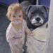 Una madre ha trovato la figlia e il pitbull ricoperti di crema dopo una piccola incursione mattutina in cucina.