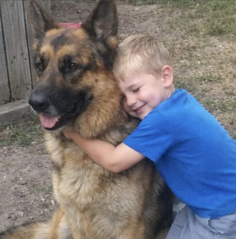 Dopo la morte del padre, Leo torna a scuola scortato da Titan e dai pompieri Il bambino di sei anni non riusciva più a uscire di casa. Il cane K-9 del padre e la squadra della caserma lo hanno accompagnato fino a scuola. Per quattro settimane Leo, sei anni, aveva rifiutato di oltrepassare la porta di casa. La morte del padre, vigile del fuoco e conduttore cinofilo, aveva trasformato ogni uscita in una crisi di panico. La mattina prevista per il rientro in prima elementare, il bambino era aggrappato allo stipite con entrambe le mani. “Non posso! Anche tu sparirai!”, gridava alla madre. Il funerale di Marcus si era svolto un mese prima. L’uomo aveva perso la vita nel crollo di un edificio commerciale durante un intervento. Da allora, il figlio viveva con la paura che anche la madre potesse non tornare più. Nella casa era rimasto anche Titan, il Pastore Tedesco di quasi cinquanta chili che aveva lavorato per anni accanto a Marcus nelle operazioni di soccorso. Dopo la morte del conduttore, il comportamento del cane era cambiato. Aveva perso vivacità e trascorreva gran parte della giornata seguendo Leo da una stanza all’altra. Titan porta a Leo il guinzaglio del padre Quando il bambino piangeva, Titan si sdraiava accanto a lui. Se Leo si fermava in cucina o si rannicchiava sul pavimento, il cane gli restava vicino, avvolgendolo con il proprio corpo. Quella mattina, durante la crisi più intensa, il Pastore Tedesco lasciò improvvisamente la stanza. Tornò poco dopo con il vecchio guinzaglio di cuoio appartenuto a Marcus. Lo teneva tra i denti e, una volta raggiunto il bambino, lo depose sulle sue gambe. Poi spinse con il muso la mano tremante di Leo. Pochi istanti più tardi, il rumore di diversi mezzi pesanti raggiunse l’abitazione. Davanti alla casa si erano fermati numerosi camion dei vigili del fuoco. Nel giardino attendevano decine di pompieri in uniforme da cerimonia. Accanto a molti di loro c’erano cani da soccorso, Dalmata della caserma e Golden Retriever impiegati nella pet therapy. La missione affidata al cane K-9 A raggiungere l’ingresso fu il capitano Miller, amico e collega di Marcus. L’uomo si inginocchiò davanti a Leo e indicò Titan. “So che hai paura, campione,” disse con dolcezza. “Ma questo cane entrava nei posti più pericolosi insieme a tuo padre.” Dopo una breve pausa aggiunse: “È un coraggioso partner K-9.” Il bambino continuava a stringere il guinzaglio, ascoltando senza parlare. “E stamattina Titan ci ha chiamati. Ci ha detto che ha ancora un’ultima missione da compiere per tuo padre.” “Che missione?”, domandò Leo. “Assicurarsi che tu arrivi a scuola sano e salvo.” Il capitano indicò il guinzaglio. “Ma Titan non può farlo da solo.” “Ha bisogno che tu tenga il guinzaglio.” Il bambino guardò il cane. Titan emise un lieve lamento e avvicinò ancora il guinzaglio alla sua mano. Leo lo afferrò lentamente. Il Pastore Tedesco si raddrizzò immediatamente e si sistemò al suo fianco, nella posizione assunta durante gli anni di servizio. La scorta dei vigili del fuoco fino alla scuola “Squadra… avanti, marcia!”, ordinò il capitano Miller. Leo lasciò la casa tenendo con una mano quella della madre e con l’altra il guinzaglio di Titan. Dietro di loro avanzarono venti vigili del fuoco con i rispettivi cani. Il gruppo percorse la strada fino alla scuola elementare. Le automobili si fermarono e i residenti uscirono dalle abitazioni per osservare il passaggio. Nessuno interruppe il corteo. Ogni volta che un rumore improvviso spaventava Leo, il bambino stringeva il guinzaglio. Titan si avvicinava ancora di più alla sua gamba, mantenendo il passo. All’ingresso dell’istituto, la preside attendeva insieme al personale scolastico. I vigili del fuoco si disposero ai lati del vialetto, formando un picchetto d’onore. Davanti al cancello, Leo sganciò il guinzaglio e lo consegnò alla madre. Poi abbracciò il cane. “Fa’ il bravo oggi,” sussurrò nel suo pelo. “Guarda la casa. Io torno.” Titan gli leccò una guancia. Il bambino si asciugò il viso ed entrò nell’edificio senza voltarsi. La promessa mantenuta dalla caserma Il capitano Miller rimase accanto alla madre. “Marcus non ci ha mai lasciati affrontare le cose da soli,” disse sottovoce. “E noi non lasceremo suo figlio affrontarle da solo.” Per tutto il resto dell’anno scolastico, un componente della caserma accompagnò ogni mattina Leo insieme a Titan. Gradualmente, gli attacchi di panico diminuirono e il bambino riprese le proprie abitudini. Sono trascorsi quattro anni. Leo ne ha ora dieci, mentre Titan è diventato anziano. Il muso del cane è ormai bianco e i problemi alle anche non gli permettono più di affrontare il tragitto fino alla scuola. Trascorre gran parte delle giornate sulla veranda. Durante un temporale, mentre il bambino tornava a casa, Titan si alzò con fatica per raggiungerlo. Leo si tolse la giacca impermeabile, la sistemò sulle spalle del cane e si sedette accanto a lui sotto la pioggia. Il rapporto iniziato tra Marcus e il suo compagno K-9 continua oggi attraverso il legame tra il Pastore Tedesco e suo figlio.