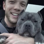 Pitbull muore improvvisamente dopo poco più di un anno trascorso con la proprietaria