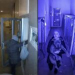 Ritrova il suo pitbull in un rifugio e lo porta via prima della soppressione
