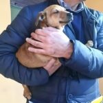 Dal dolore per Charlie all’adozione di Yuki, la scelta di ricominciare