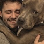 Il pitbull adottato non lascia tregua a Luca finché non riceve il suo abbraccio