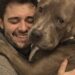 Il pitbull adottato cerca subito il contatto con il suo proprietario ogni volta che lo vede rientrare a casa.