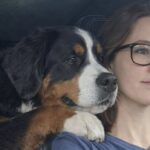 L’adozione salta, ma Balto resta con la donna che si è presa cura di lui