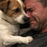 Dopo la morte di Lucas, il suo Jack Russell salva il padre dal dolore