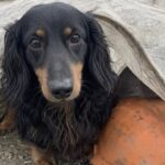Clovis difendeva sotto un telone il casco del padrone morto nel cantiere